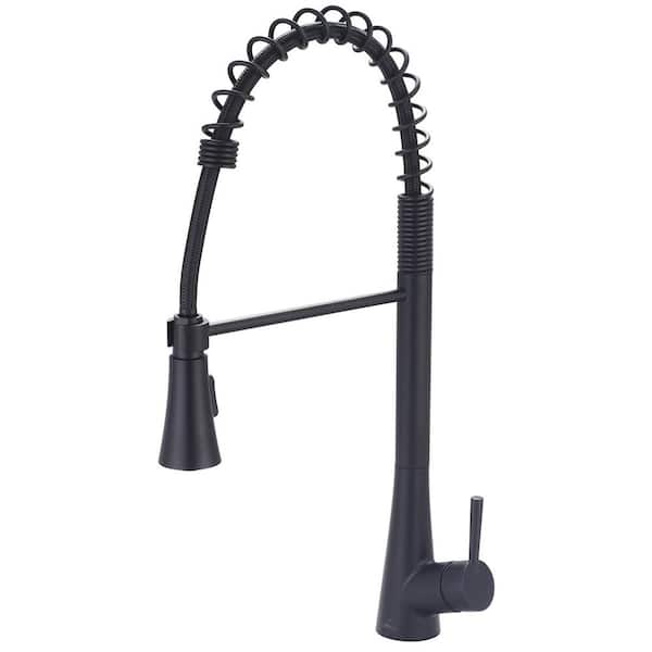 Olympia Faucets i2 Single-Handle Pull-Down Sprayer Kitchen Faucet with Pre-Rinse Sprayer in Matte Black