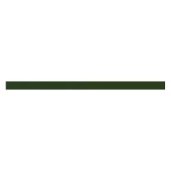 Terralis 0.6 in. x 12 in. Glossy Forest Green Porcelain Bullnose Trim Wall and Floor Tile (0.5 sq. ft./Case) 10-Pack