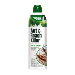 14 oz. Ant and Roach Killer Aerosol Spray
