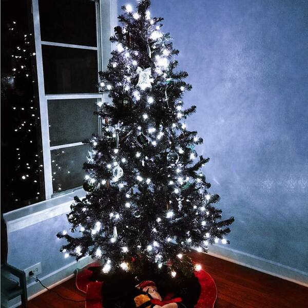 Mini Christmas Lights White Wire 100 Mini Christmas Lights Clear Mini Christmas Lights White Wire 100 Mini Christmas Lights Clear
