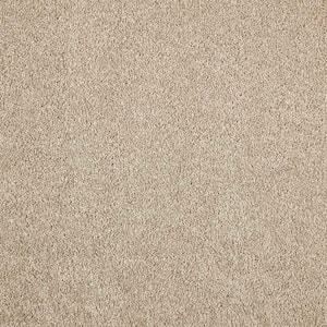 Gemini I - Hazy Stratus - Gray 38 oz. Polyester Texture Installed Carpet
