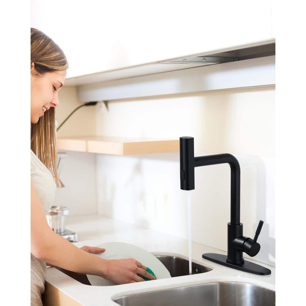Matte Black Stainless Steel Pull Down Kitchen Faucet with Spray