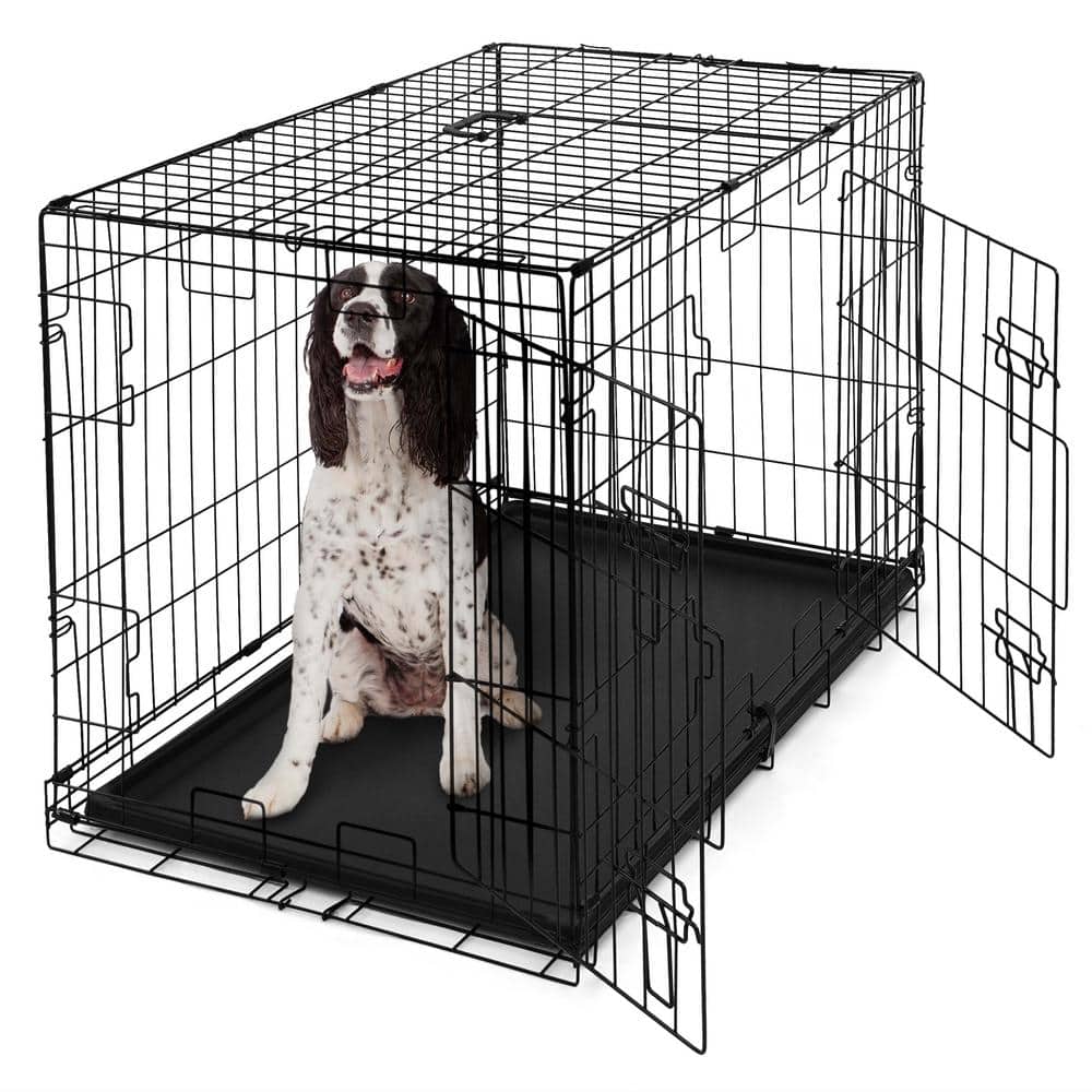 Foldable Black Metal Dog Crate with Double Doors