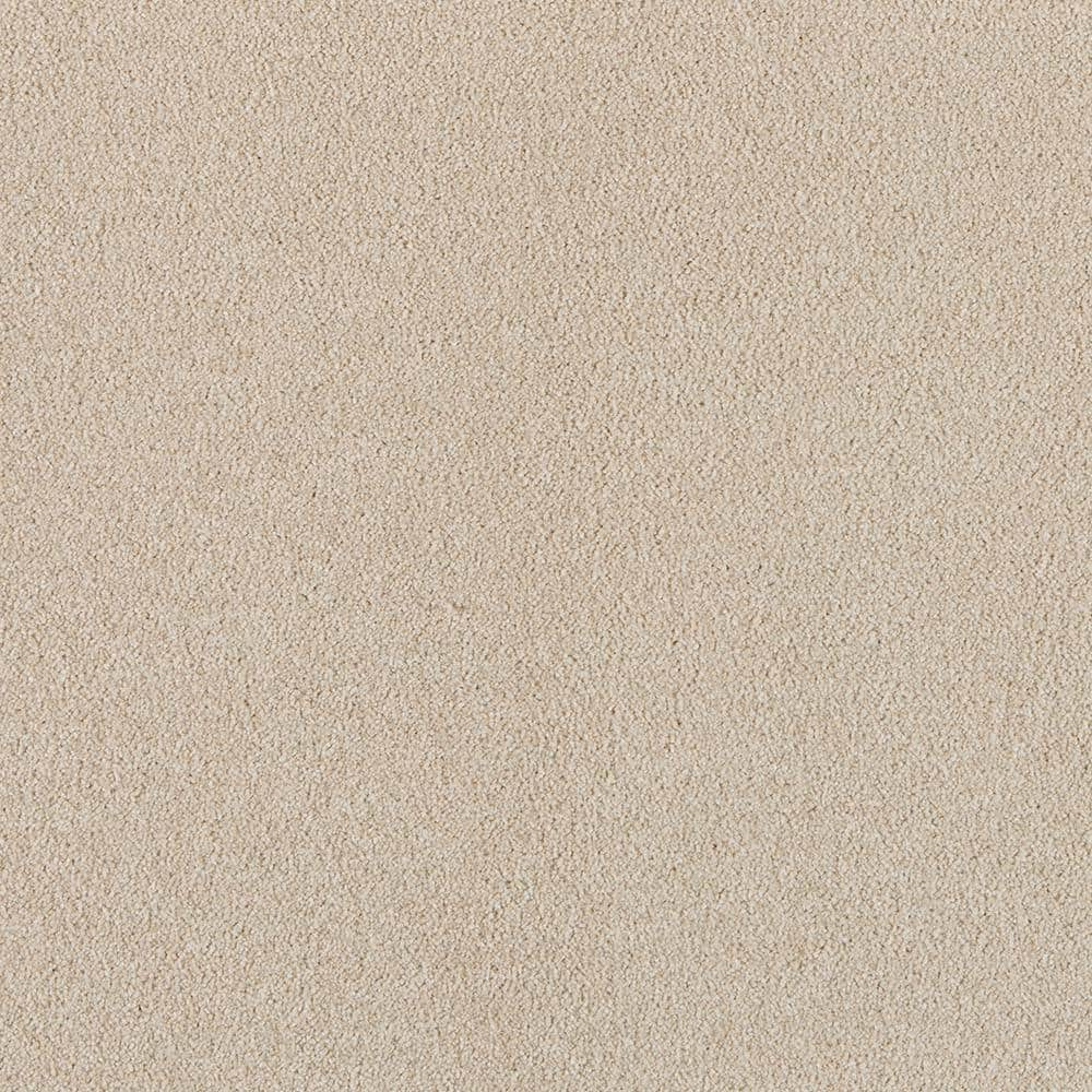 Home Decorators Collection Tailored Trends III Crisp Beige 58 oz ...