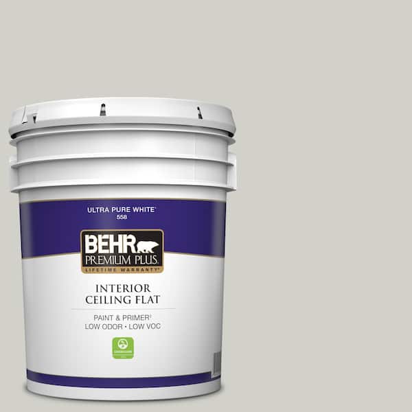 5 gal. #HDC-NT-17G Polar Fox Ceiling Flat Interior Paint