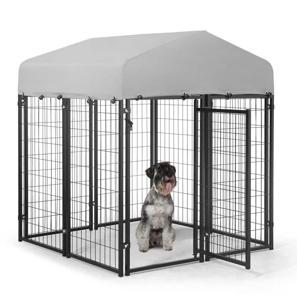 54.5 in. x 47.2 in. x 47.2 in. Small Metal Frame Dog Kennel with Removable 