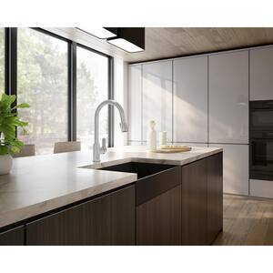 Identity Single Handle Pull-Down Sprayer Kitchen Faucet in Stainless Steel