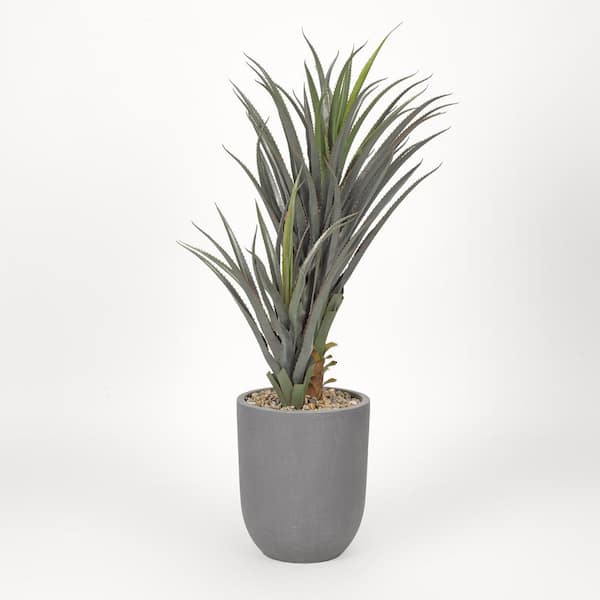 D&W Silks Succulent Plant in Round Grey Planter