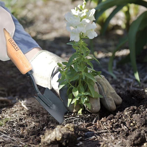 5.3 in. Garden Trowel Hand Transplanter with Wood Handle