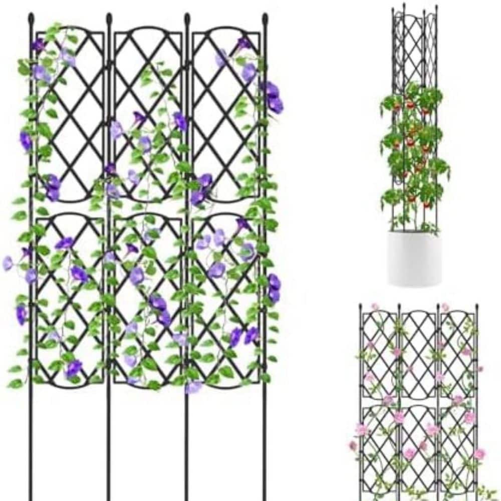Adjustable Metal Garden Trellis for Climbing Plants, Flowers, and Vegetables price history on PriceWatchPro