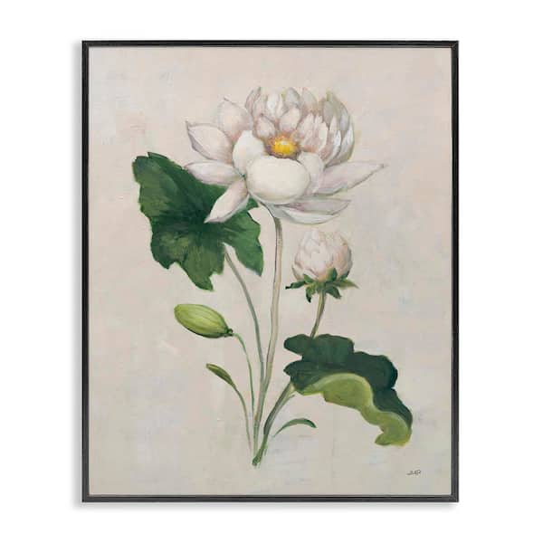 Stupell Industries Graceful Budding Lily by Julia Purinton Black Framed Nature Giclee Art Print 30 in. x 24 in.