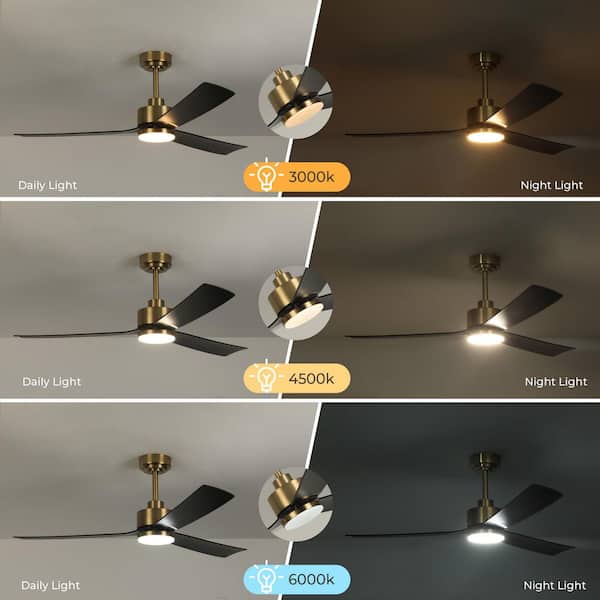 TOZING 52 in. Indoor Matte Black Gold Low Profile Modern LED