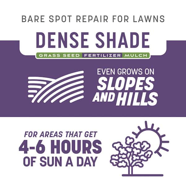 Smart Patch Dense Shade 5 lb. 100 sq. ft. Grass Seed Bare Spot Repair with Mulch and Fertilizer