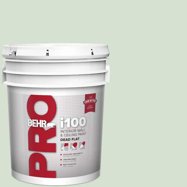 5 gal. #S400-2 Comforting Green Dead Flat Interior Paint