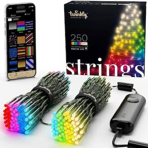 65.5 ft. 250-Count LED Multicolor and Warm White Christmas String Lights