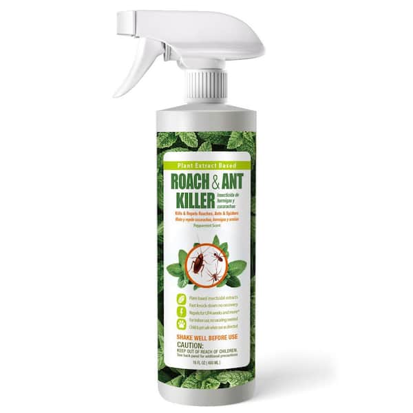 Roach Insect Killer/Repellent by EcoRaider 16 oz., Fast Kills, 4-Week Deterrence, Plant-Based, Child/Pet-Safe