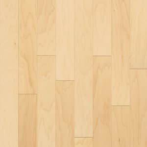 Take Home Sample - 5 in. x 7 in. Natural Maple Engineered Hardwood Flooring