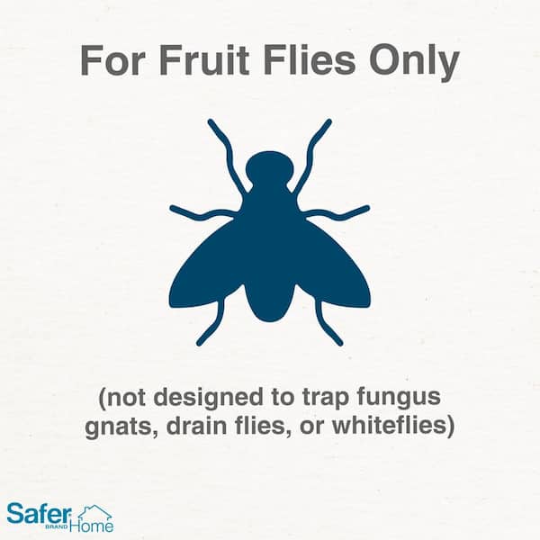https://images.thdstatic.com/productImages/b9f48031-4805-4eb7-944e-918d10936232/svn/orange-safer-brand-insect-traps-sh500sr-e1_600.jpg