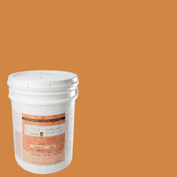 YOLO Colorhouse 5-gal. Clay .02 Flat Interior Paint-DISCONTINUED