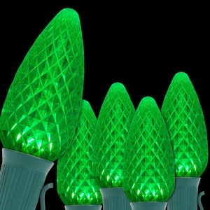 OptiCore 24 ft. 25-Light Green LED Faceted C9 String Light Set