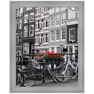 Flair Polished Nickel Picture Frame Opening Size 22 x 28 in.