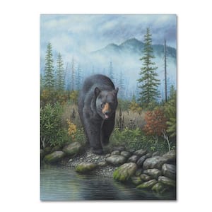14 in. x 19 in. Smoky Mountain Black Bear by Robert Wavra Floater Frame Animal Wall Art