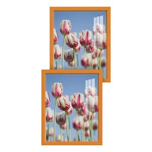 Modern 11 in. x 14 in. Orange Picture Frame (Set of 2)