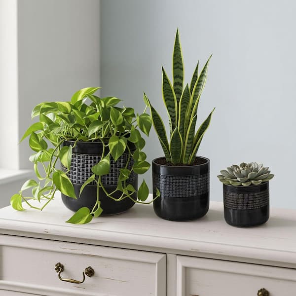 Dovelina Black Set of 3 Mixed Size Outdoor Ceramic Plant Pots