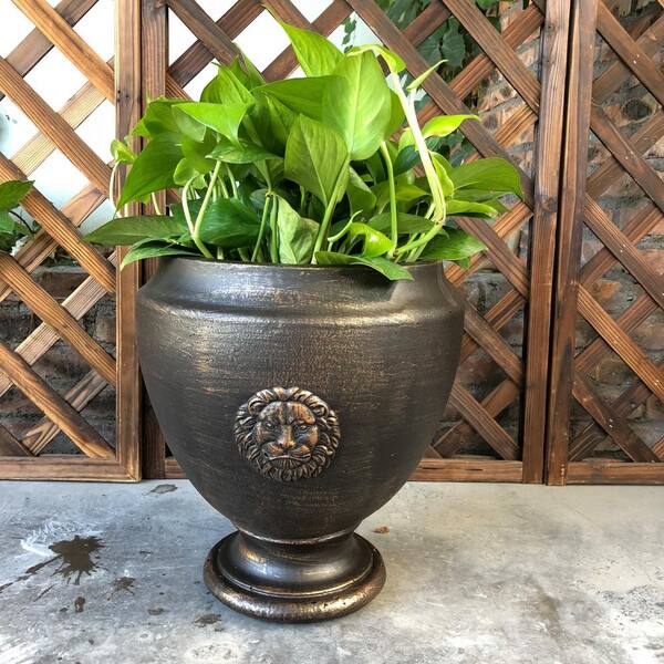 DurX-litecrete 12.99 in. x 12.99 in. x 13.98 in. Bronzewash Color Lightweight Concrete Lion Footed Planter