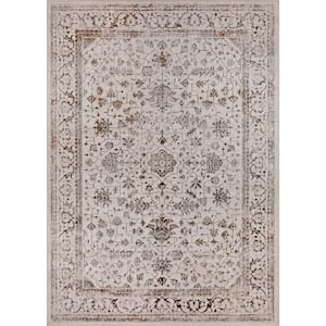 Creation Multi Shimmer 5 ft. x 7 ft. Traditional Area Rug