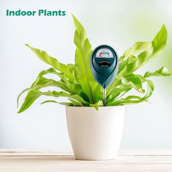 Green 8 in. Moisture Meter Soil Moisture Meter for House Plants and Outdoor  Plants No Battery Required HY905-8 - The Home Depot