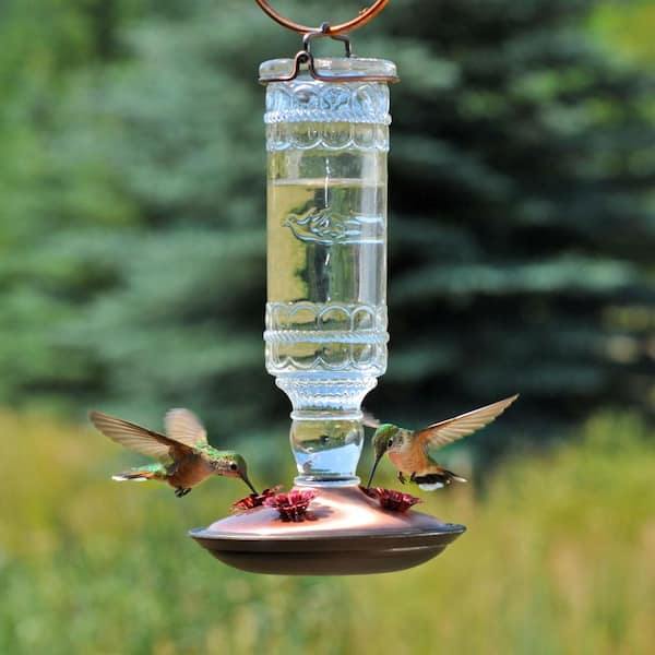 Nectar Garden Backyard Antique Bottle Glass Hummingbird Feeder Perky-Pet 10 oz 