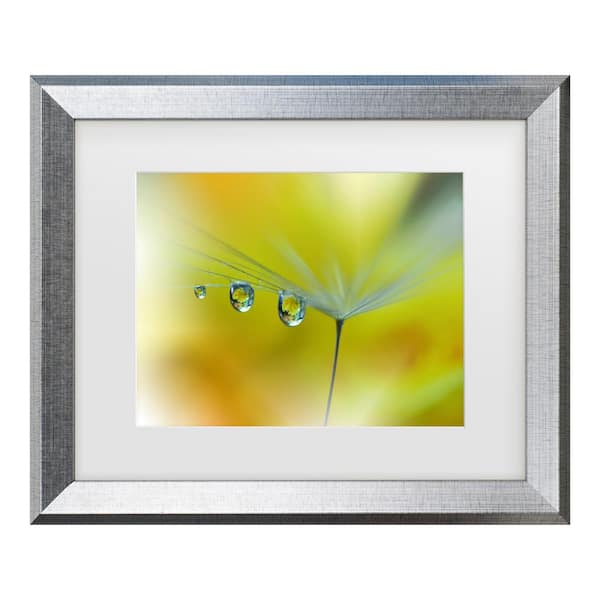 Trademark Fine Art Juliana Nan Sunbeam III Matted Framed Photography Wall Art 19.5 in. x 23.5 in.