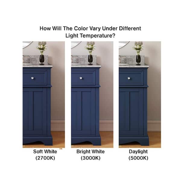 Home Decorators Collection Fremont 32 in. Single Sink Navy Blue