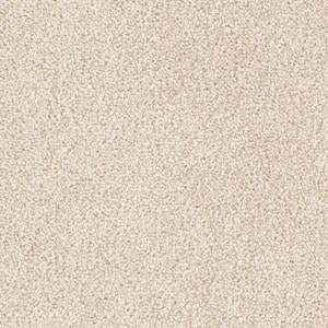 8 in. x 8 in. Texture Carpet Sample - Silver Mane I -Color Au Natural