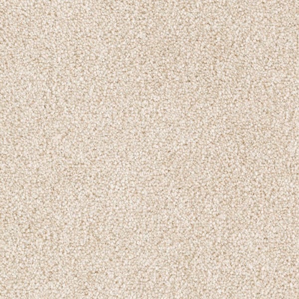 Lifeproof with Petproof Technology 8 in. x 8 in. Texture Carpet Sample - Silver Mane I -Color Au Natural