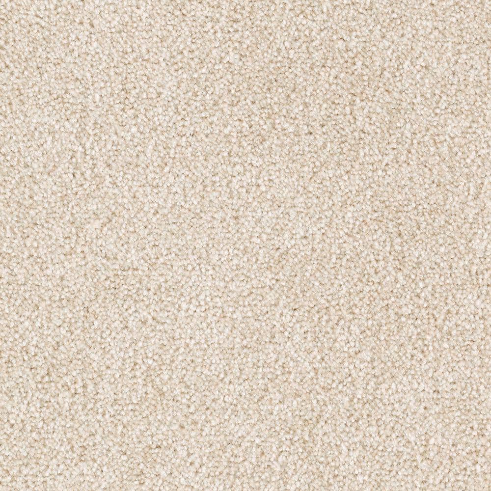 8 in. x 8 in. Texture Carpet Sample - Silver Mane II -Color Au Natural price history on PriceWatchPro