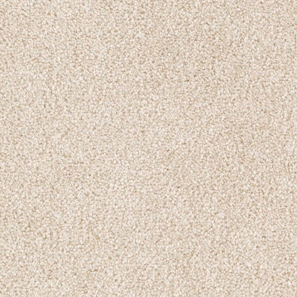 Lifeproof 8 in. x 8 in. Texture Carpet Sample - Tides Edge -Color Praline