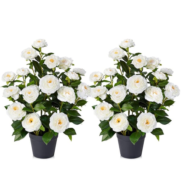2  ft. Artificial Camellia Flower Faux Camellia Plant in Pot with White Flowers for Home Decor Indoor Set of 2