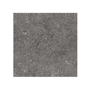 Ambience Natural Deep Gray 24 in. x 24 in. x 10mm Porcelain Floor and Wall Tile-SAMPLE