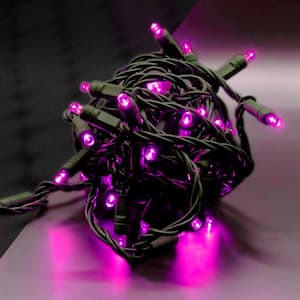 Pink 5 mm LED Mini Lights with 4 in. Spacing (Set of 50)