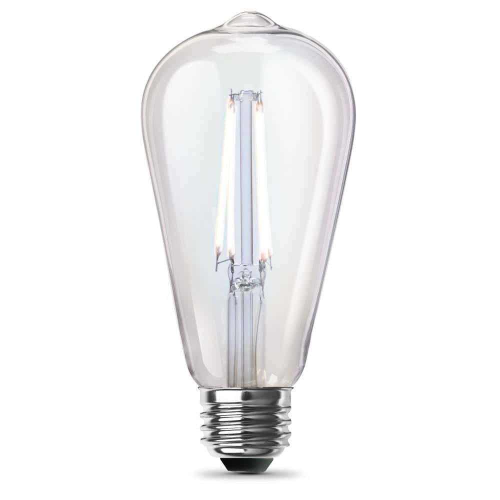 Feit Electric 60-Watt Equivalent ST19 Straight Filament Dusk