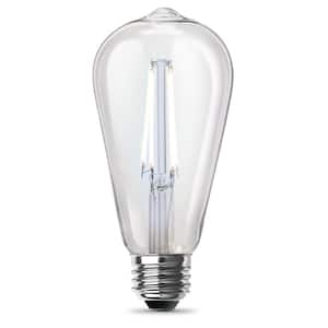 60-Watt Equivalent ST19 Straight Filament Dusk to Dawn Clear Glass E26 Vintage Edison LED Light Bulb, Daylight