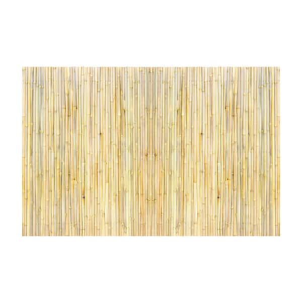 Natural Rolled Bamboo Fence, Eco-Friendly 6 ft. H x 8 ft. L x 0.75 in. D Privacy Screen for Garden, Backyard, Patio