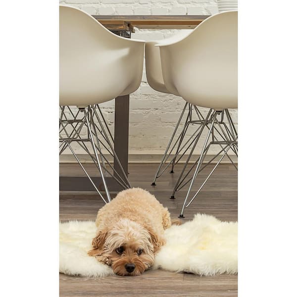 natural New Zealand Natural 2 ft. x 3 ft. Single Sheepskin Area