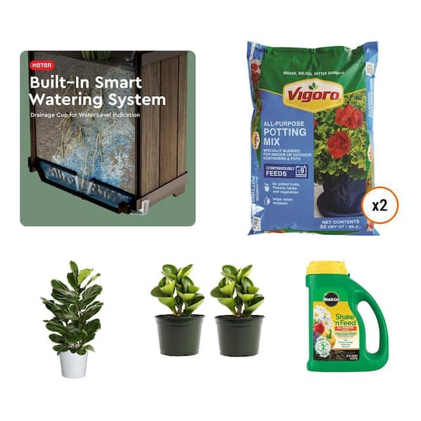 18 in. Resin Cube Planter, 32 qt. Soil, Fiddle Leaf Fig in 10 in. Pot, 4 in. Rubber Plant (2-Pack), 4.5 lbs. Food