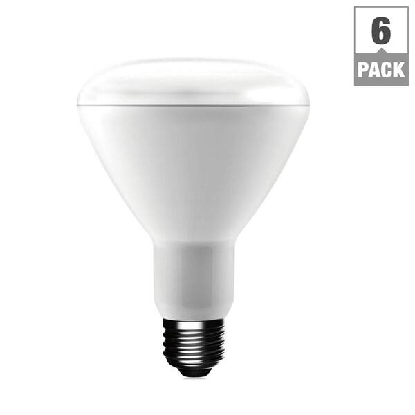 Ecosmart br30 deals daylight