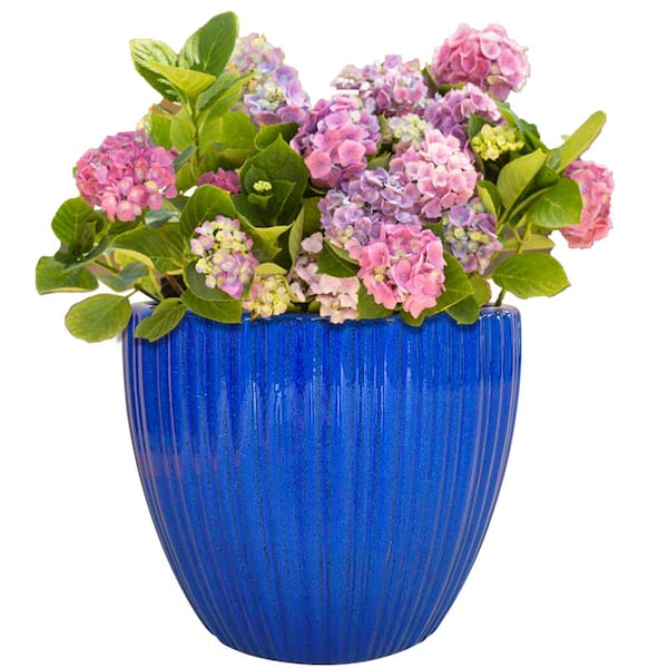 14 in. x 12.2 in. Lennox Ceramic Planter, Cobalt Blue