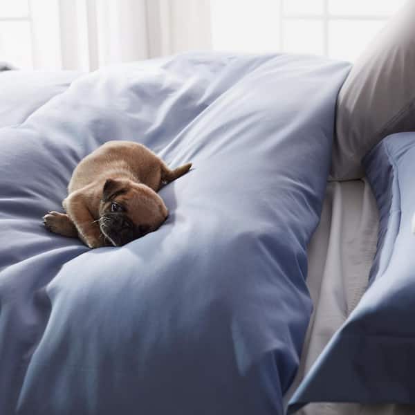 Company Cotton® 300-Thread Count Wrinkle-Free Cotton Sateen Duvet Cover