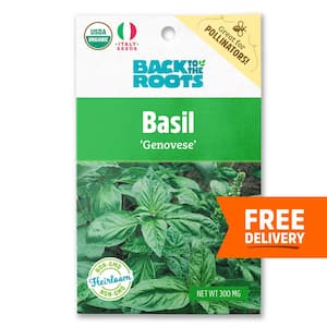 Organic Genovese Basil Seed (1-Pack)